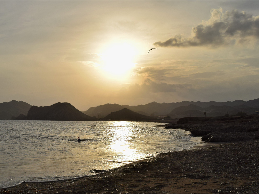 Playa de la Cola-Calabardina必去景点