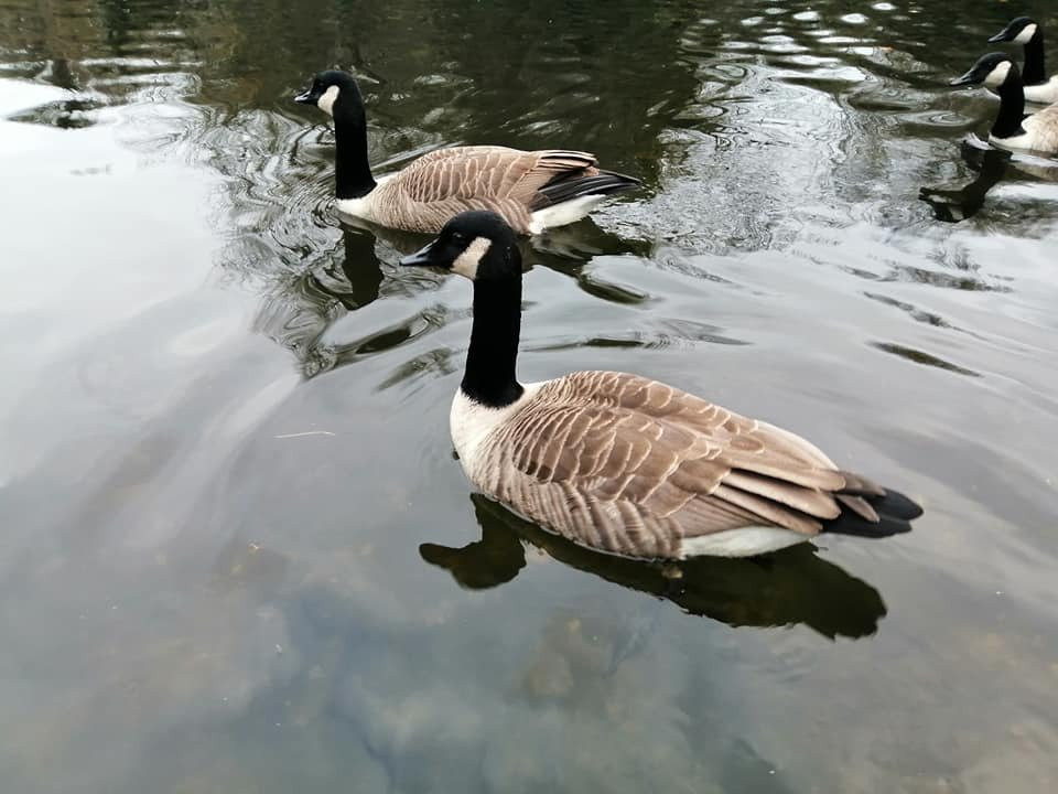 Vinters Valley Nature Reserve景点图片