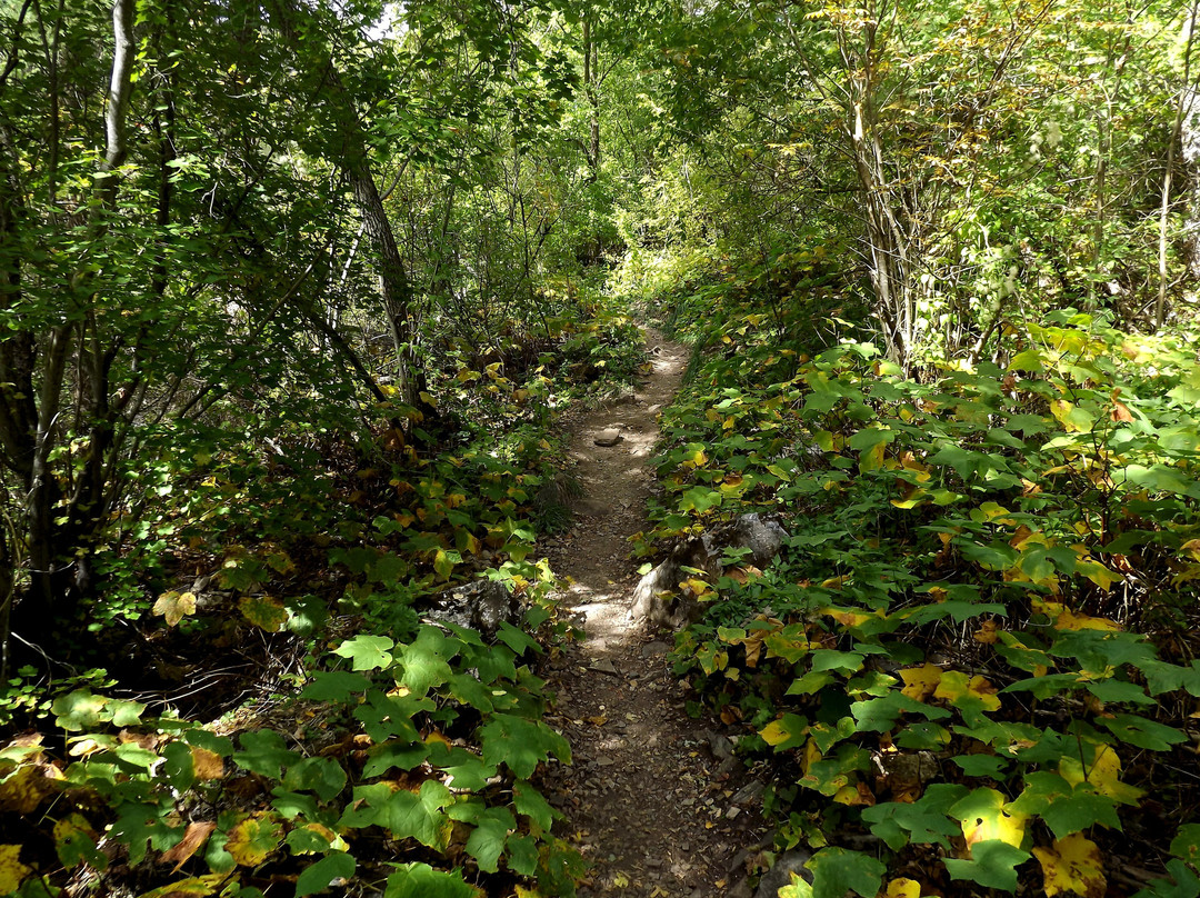 Grizzly Creek Trail-格伦伍德温泉必去景点