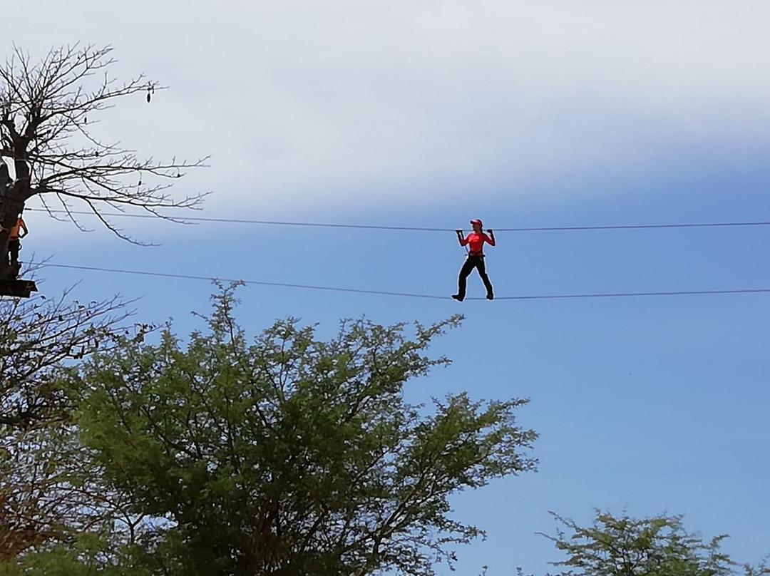 Accrobaobab Adventure景点图片