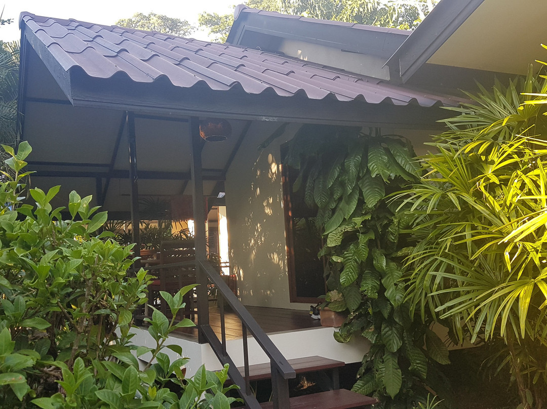 Lucky Gecko Garden主图