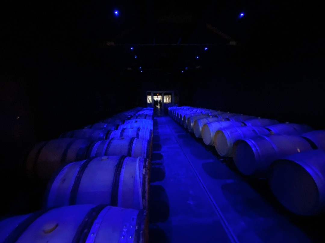 Domaine De Rocheville景点图片