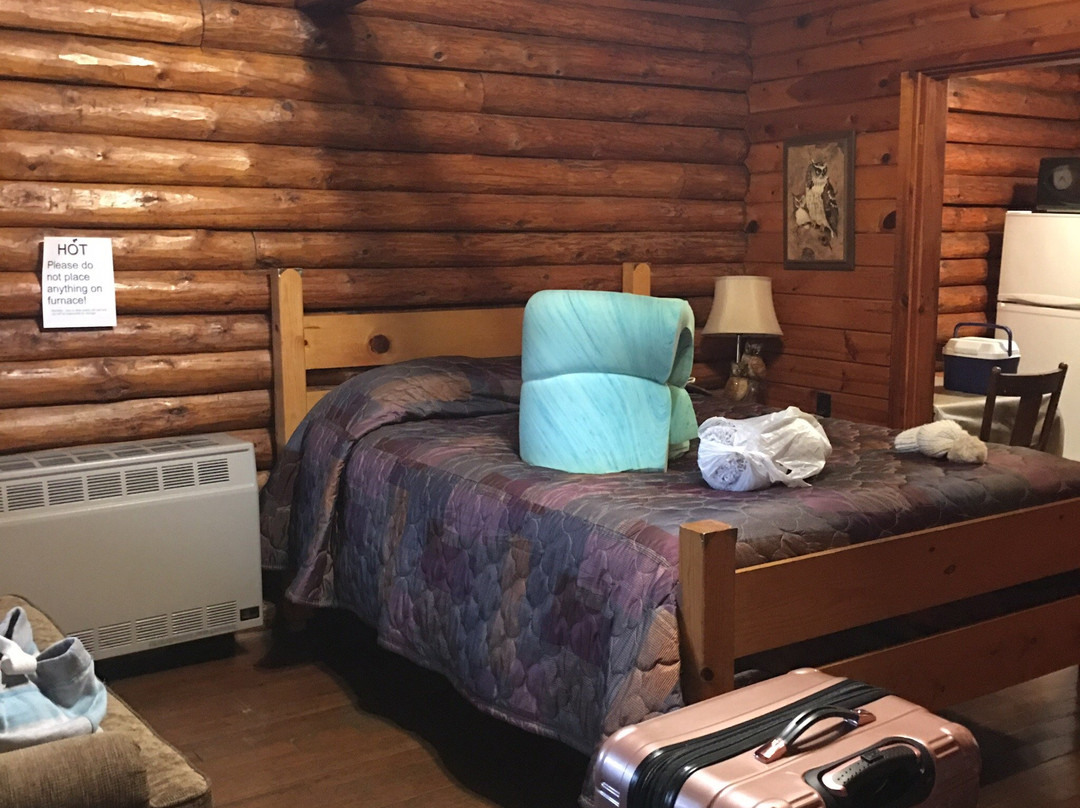 Janssen's Lodestone Motel & Cabins主图