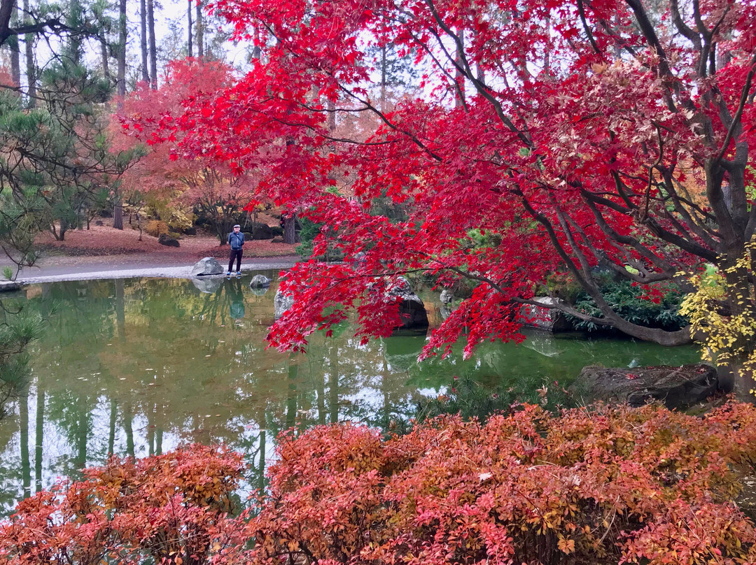 Nishinomiya Tsutakawa Japanese Garden景点图片