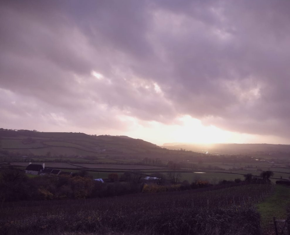 Castlewood Vineyard-Axminster必去景点