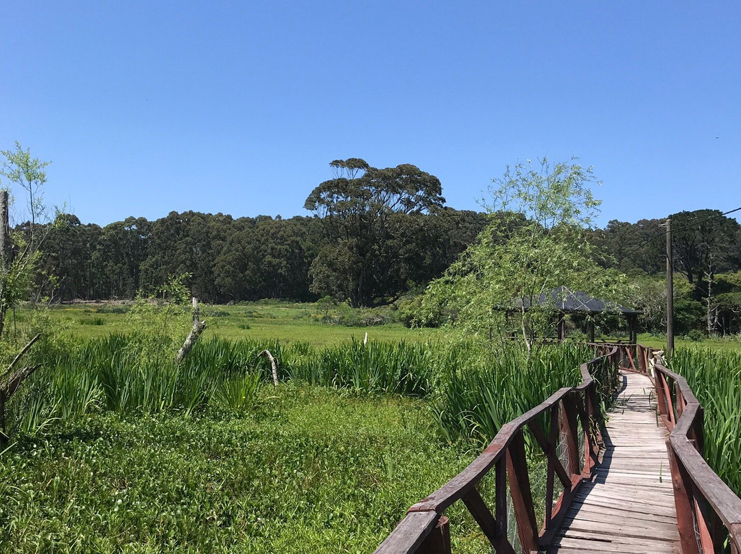 Santa Teresa National Park景点图片