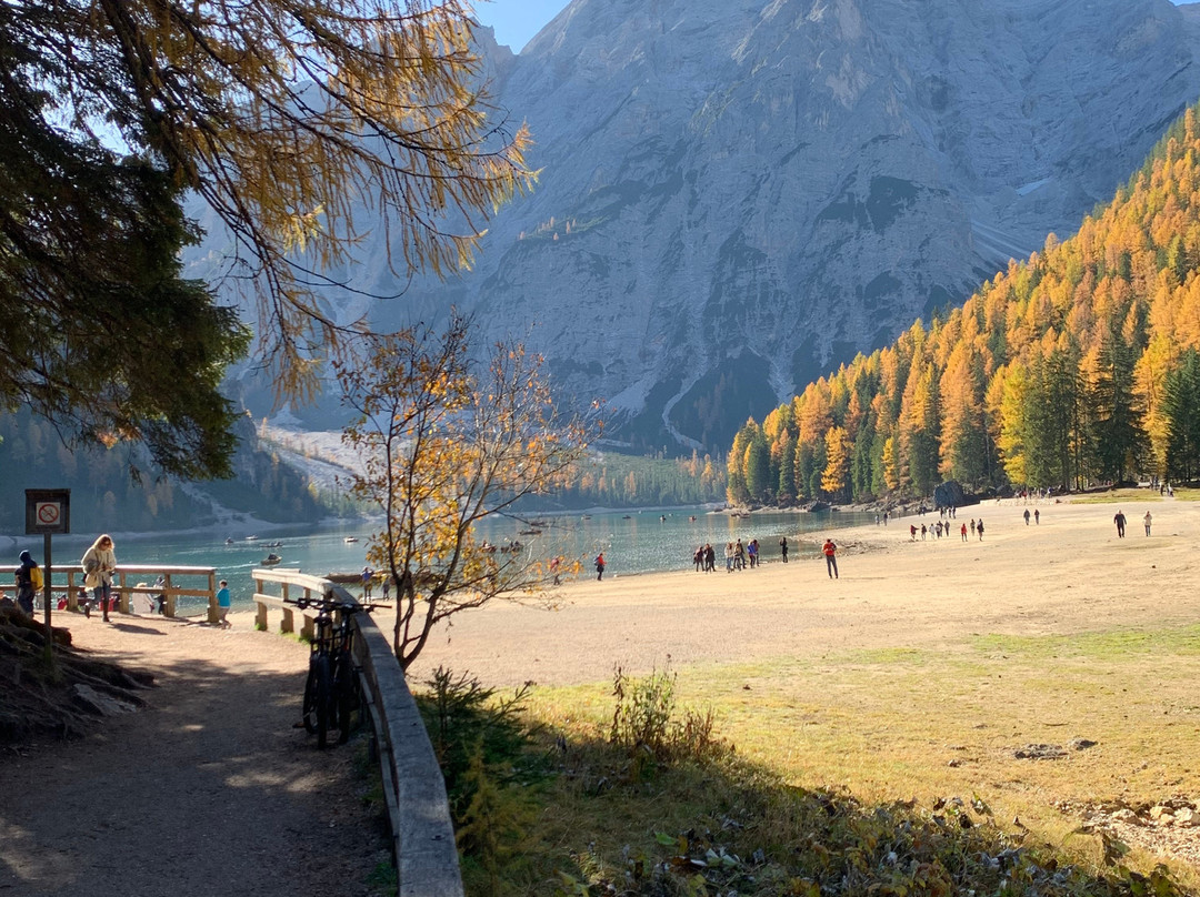 Centro Visite Parco Fanes-Sennes-Braies San Vigilio in Marebbe景点图片