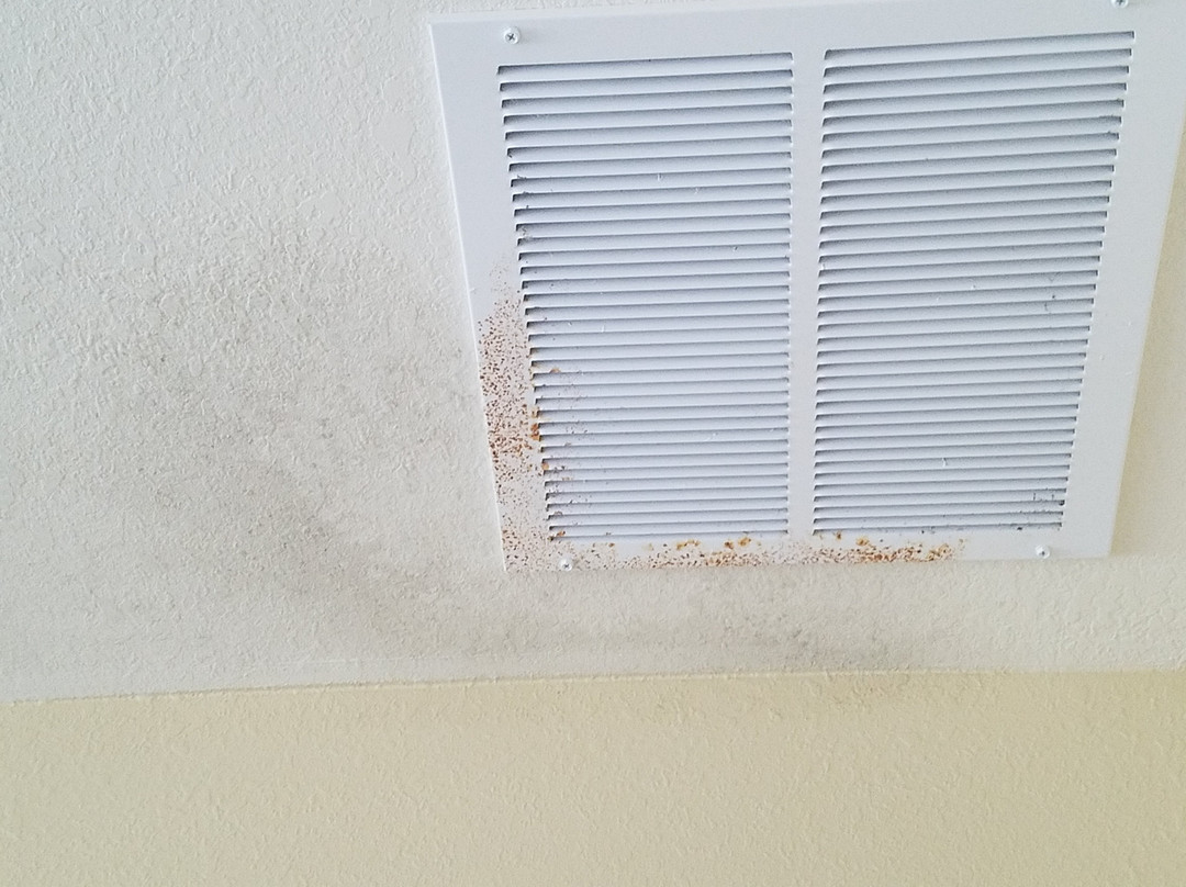 Country Inn & Suites by Radisson, Wilmington, NC主图