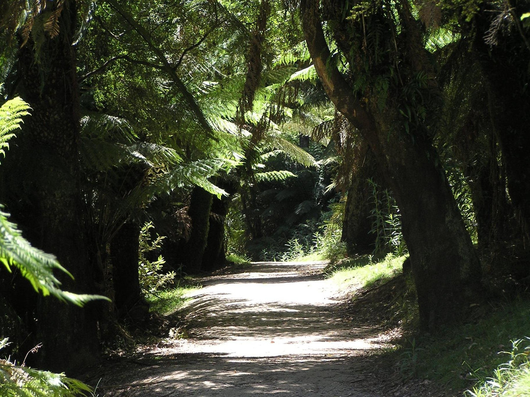 Wild Platypus (formerly All Things Wild At Burnie)-伯尼必去景点