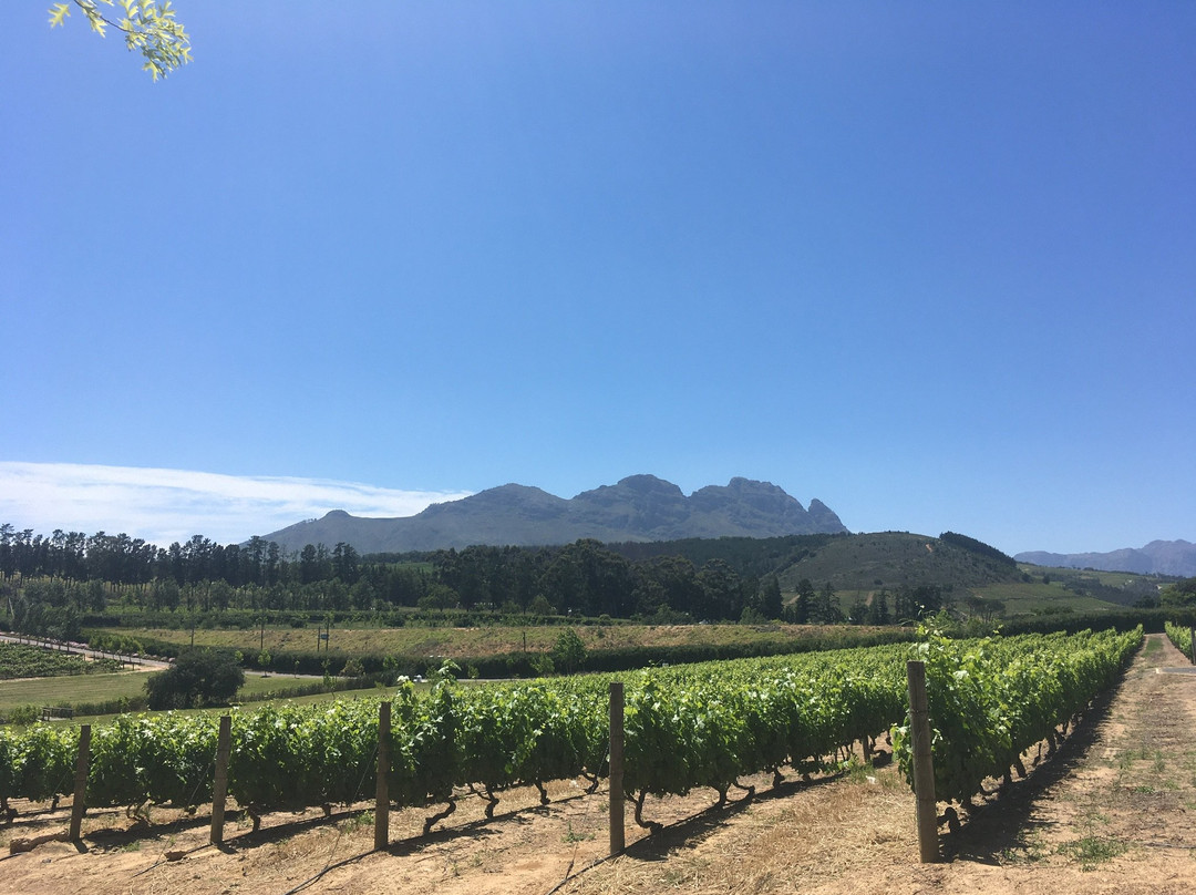 L'Avenir Country Lodge主图