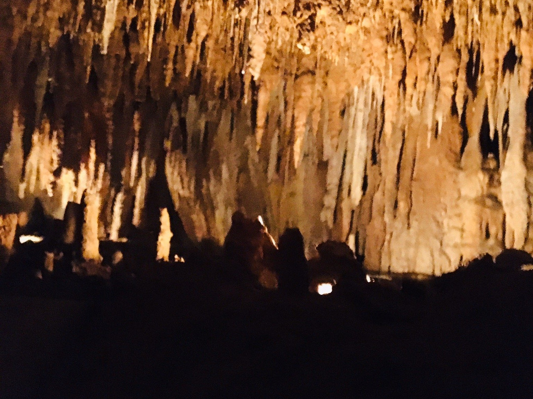 La Grotte De Domme景点图片