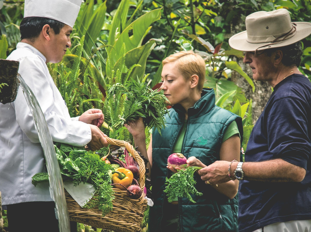 Peru Well Served-利马必去景点
