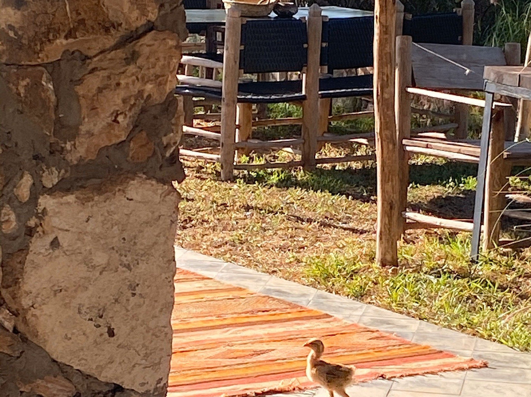 Koheilan Oriental Lodge Farm主图