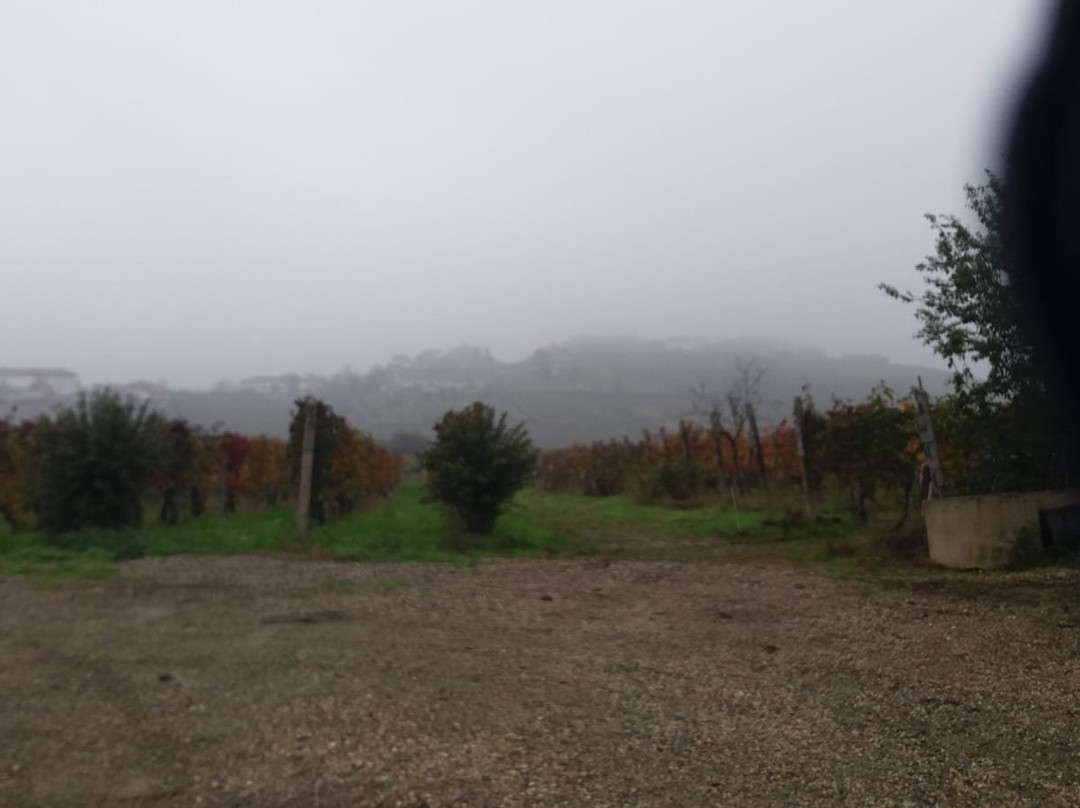 Agriturismo Ca' D Toniot