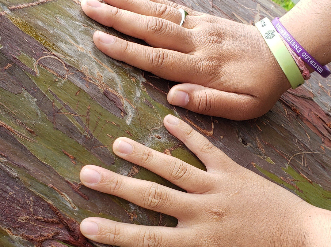 Best Deal Taxi Grenada-St. George's必去景点