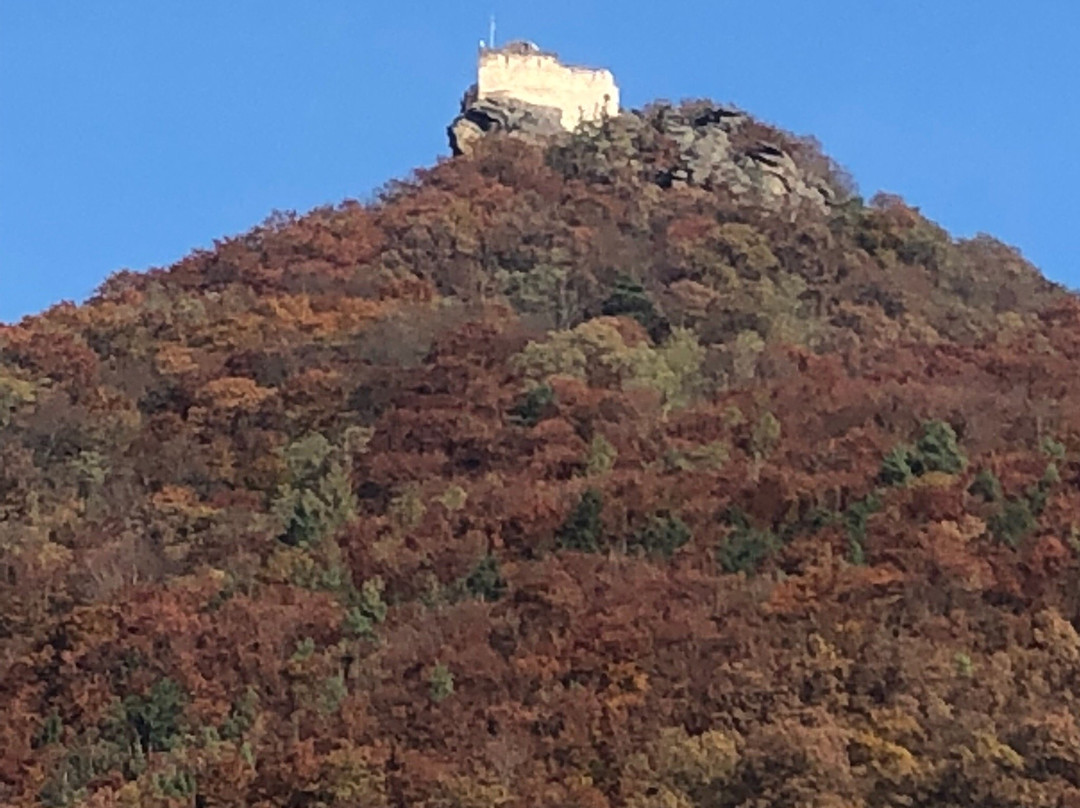 Schloss Spitz-施皮茨必去景点