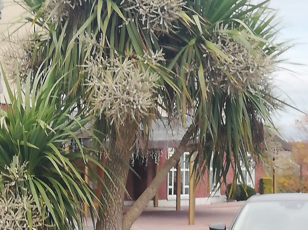 Woodlands Hotel主图