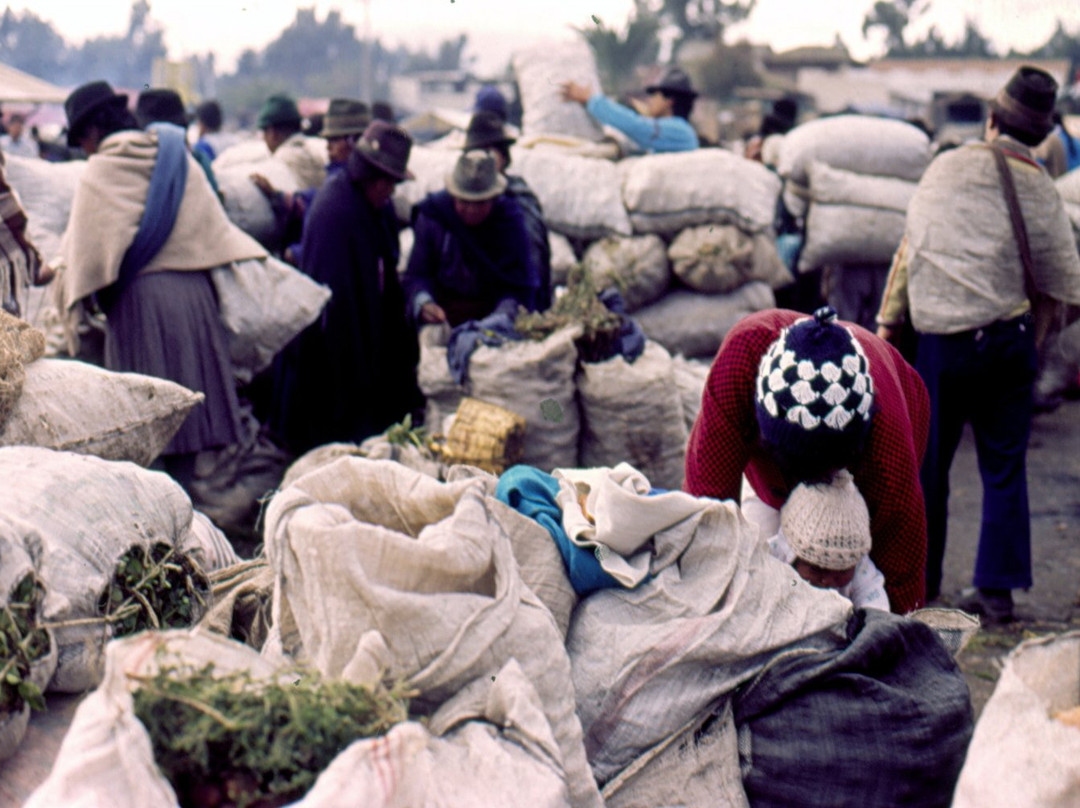 Mercado Indigena-Saquisili必去景点
