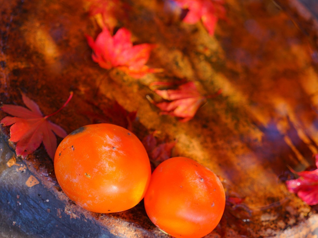 Samyeongam-梁山市必去景点