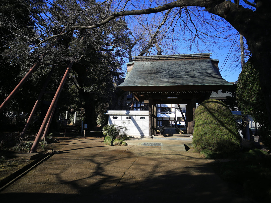 Kogen-ji Temple景点图片