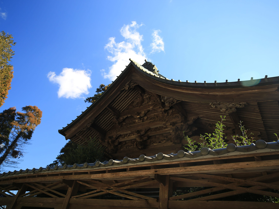 Agata Shrine-大网白里町必去景点