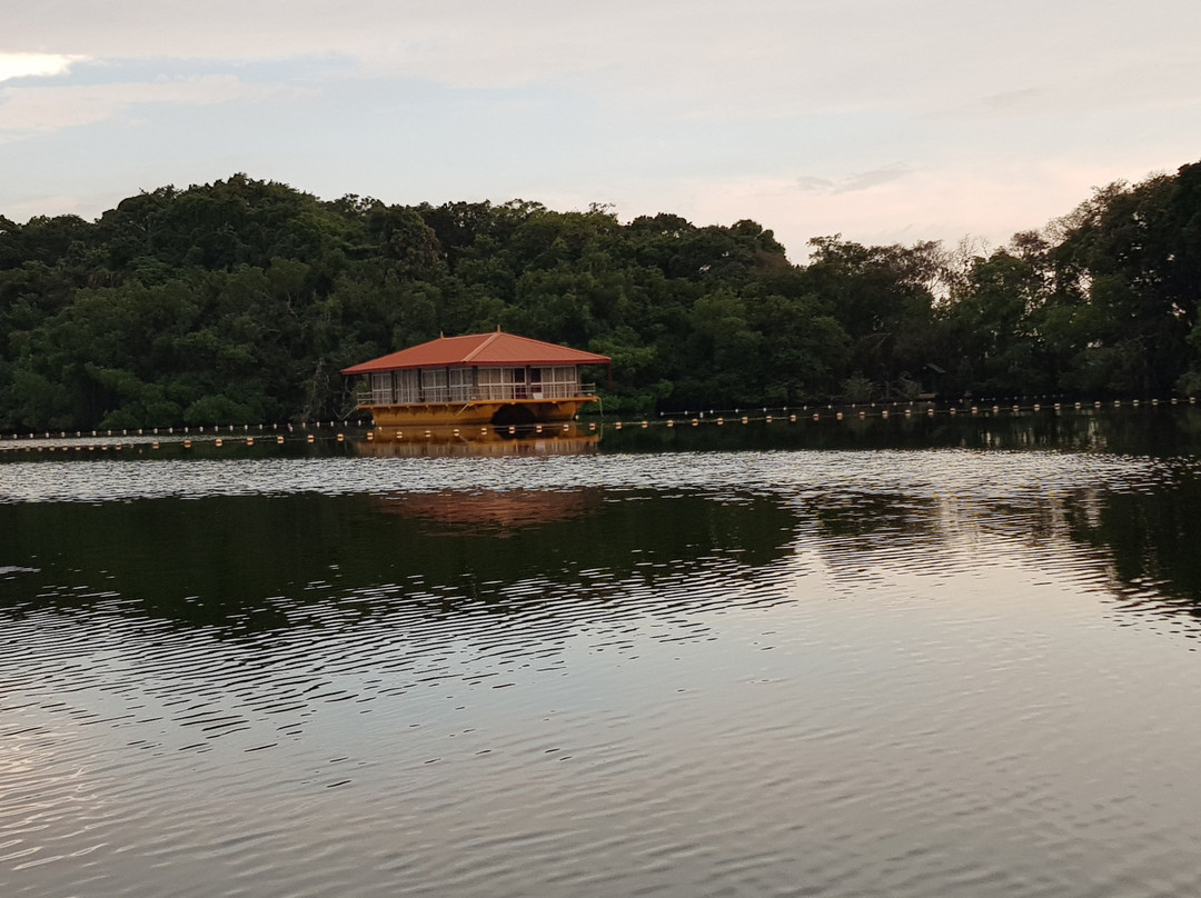 The Green Lagoon Villa主图