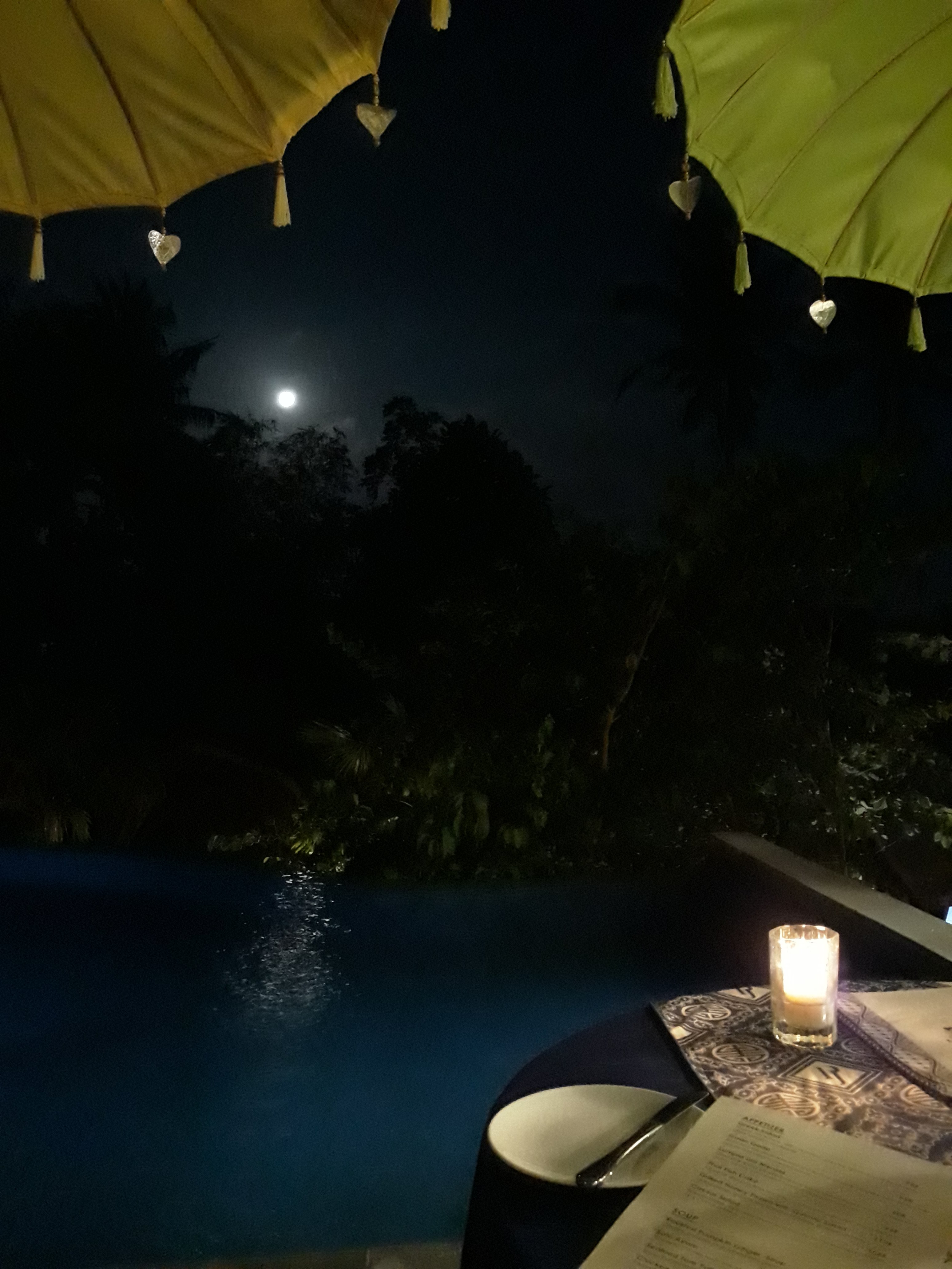 Menzel Ubud-泳池