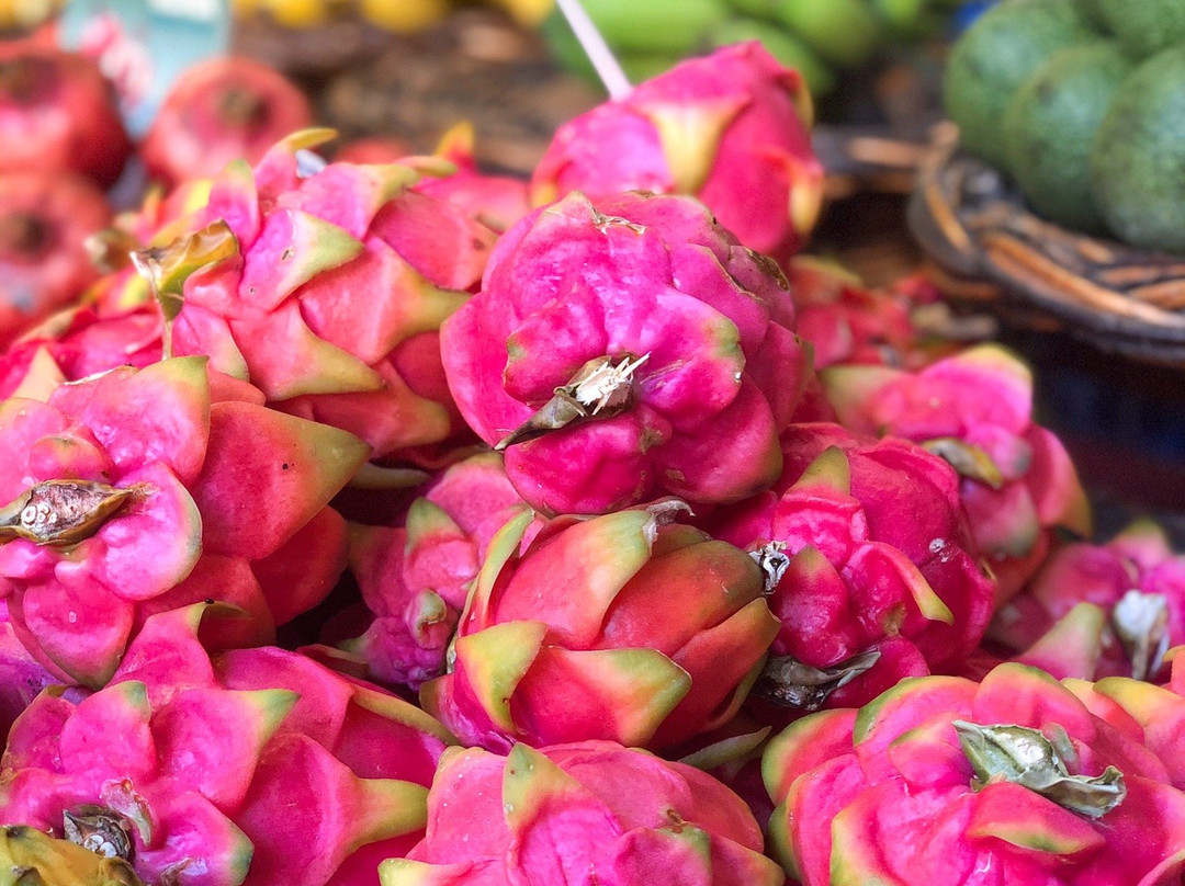 Madeira Cook Experience-沙尔必去景点