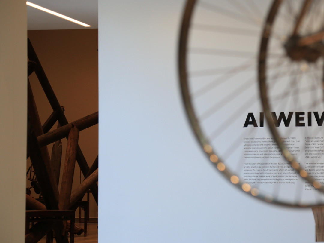 Mildred Lane Kemper Art Museum-圣路易斯必去景点