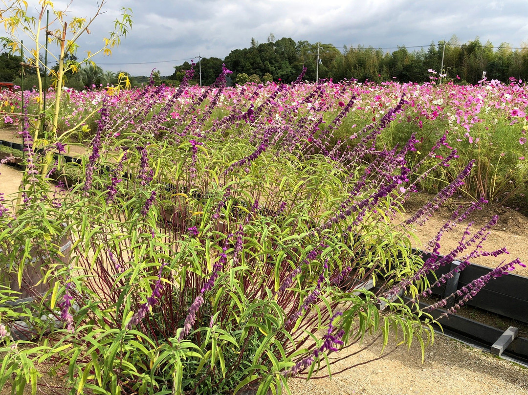 Izumi Recycle Environment Park-和泉市必去景点