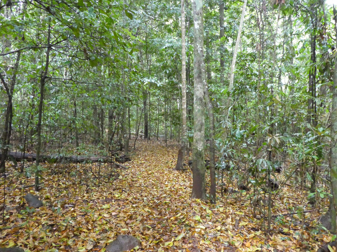 Malanda Falls Visitor Centre-马兰达必去景点