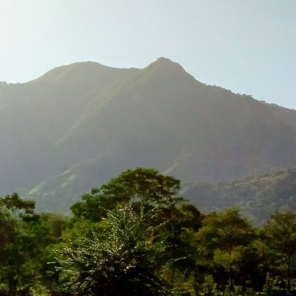 Plaza Alfonso Lopez Valledupar-巴耶杜帕尔必去景点