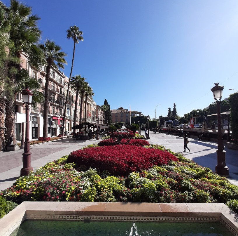 Glorieta de Espana-穆尔西亚必去景点