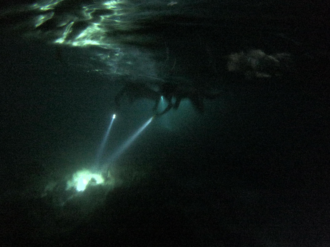 Night Snorkeling Adventure /Mauritius-Pointe d'Esny必去景点