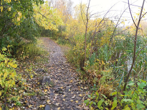 Angrignon Park-蒙特利尔必去景点