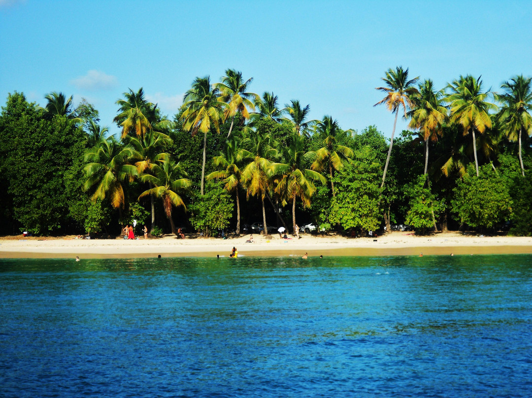 Catamaran Sun Tropic-圣吕斯必去景点