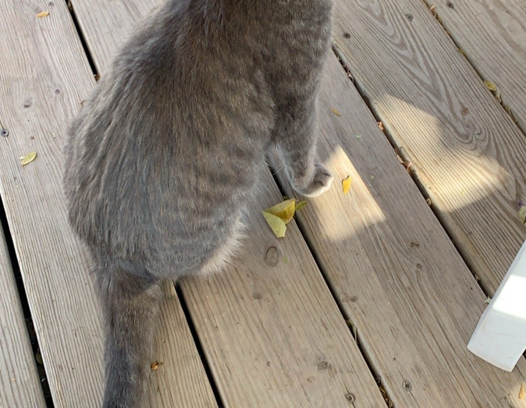 James Arthur Vineyard-Raymond必去景点