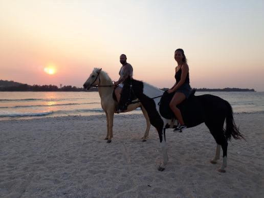 King Stable Horse Riding Tour-Gili Meno必去景点