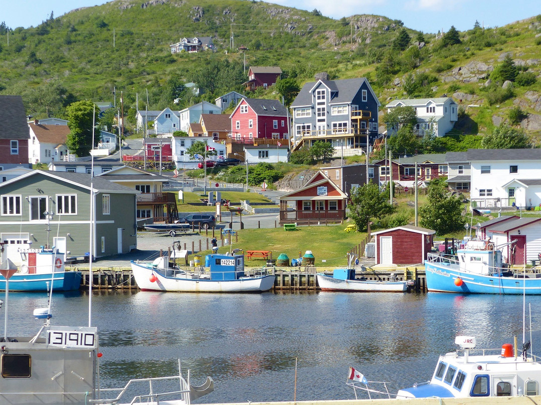 Petty Harbour旅游景点-Petty Harbour Mini Aquarium
