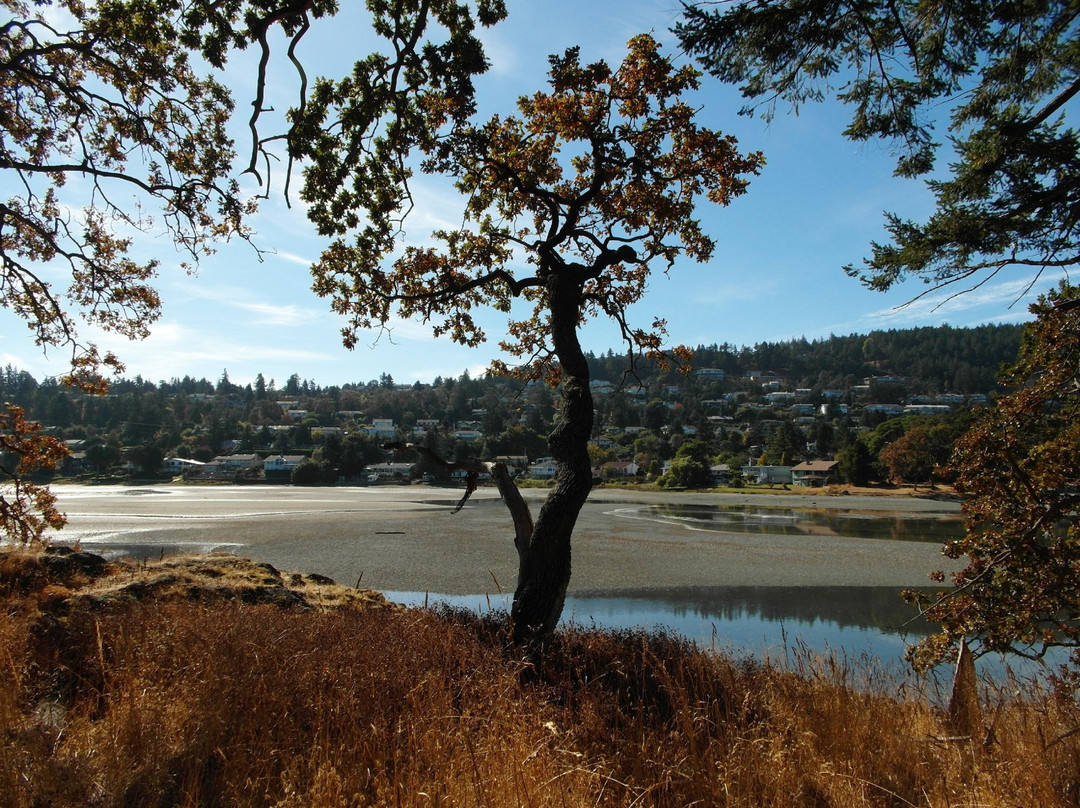 Pipers Lagoon Park景点图片