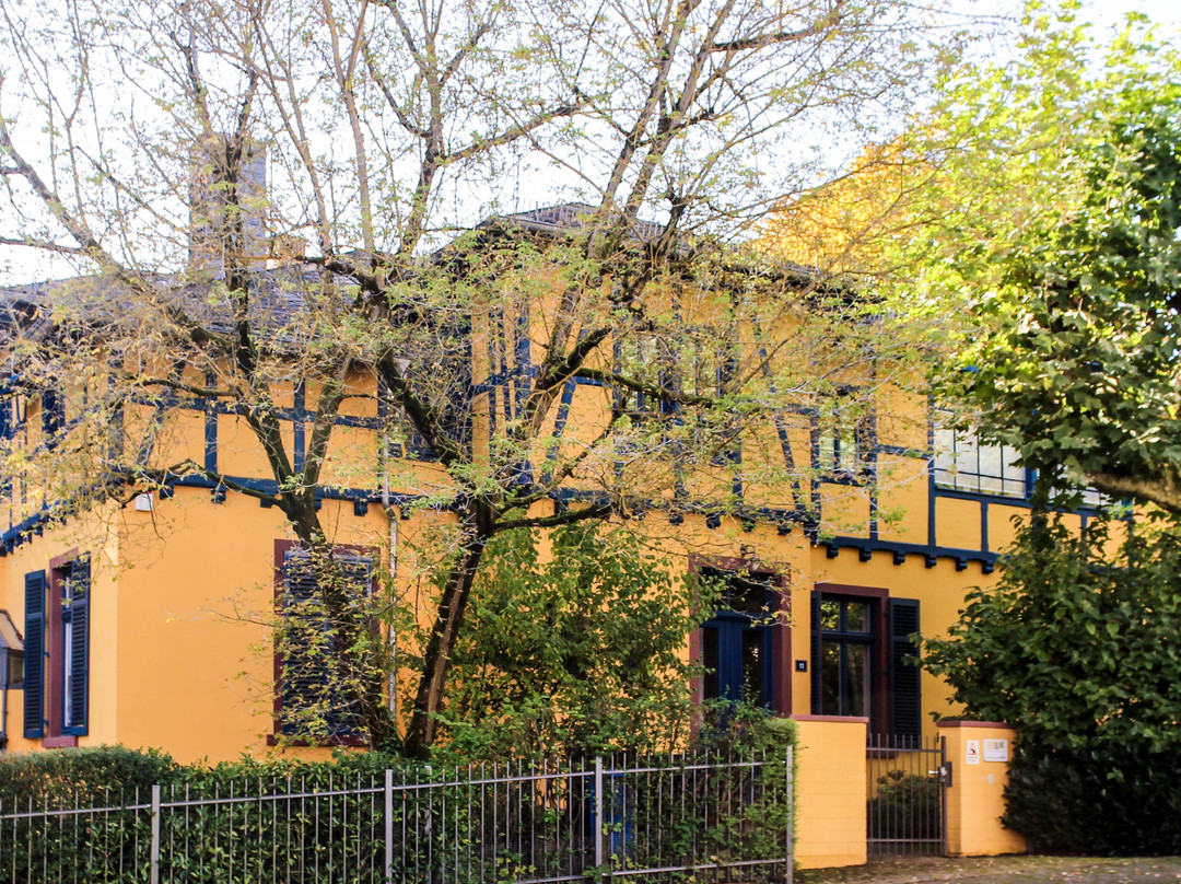 Das Blaue Haus - Kapellenstraße 11景点图片