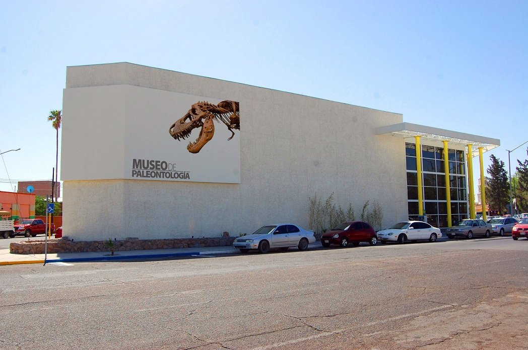 Museo de Paleontologia de Delicias景点图片