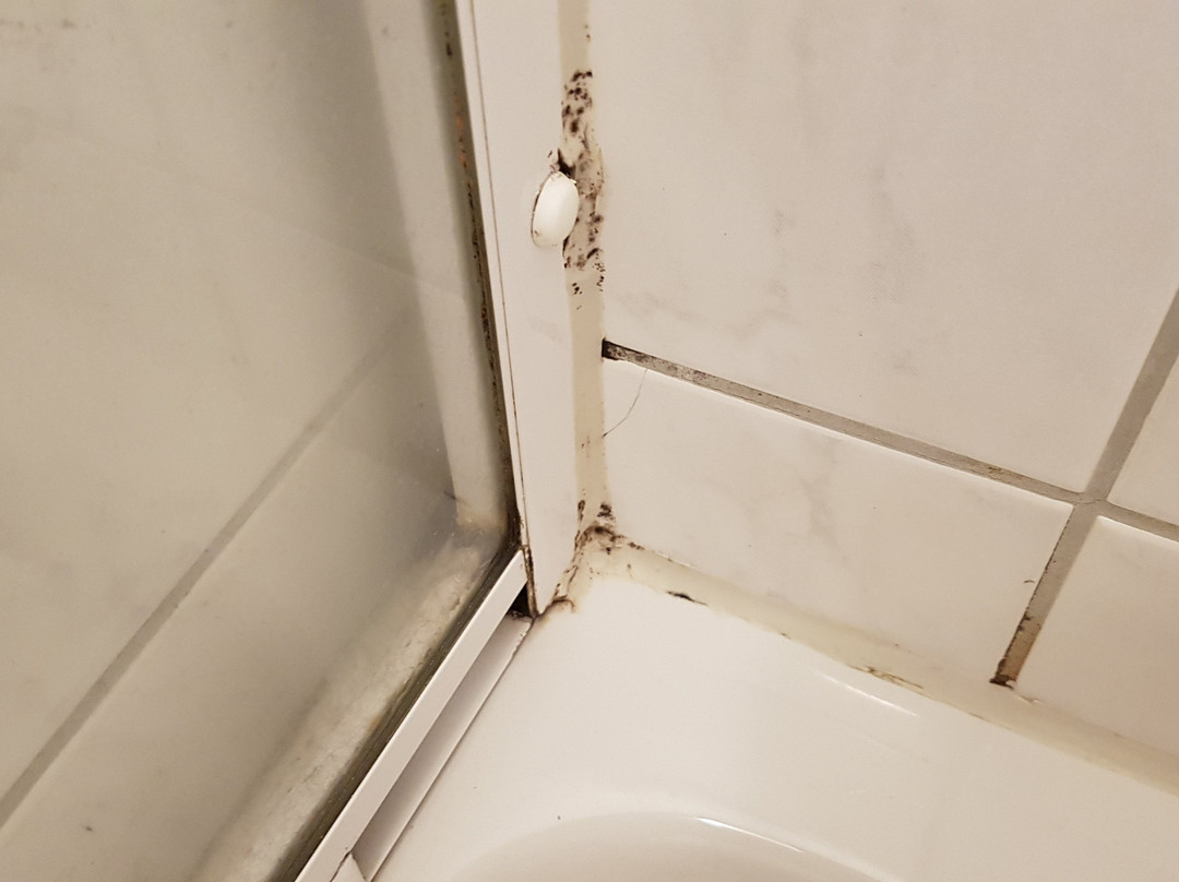 Hotel Stolteraa主图