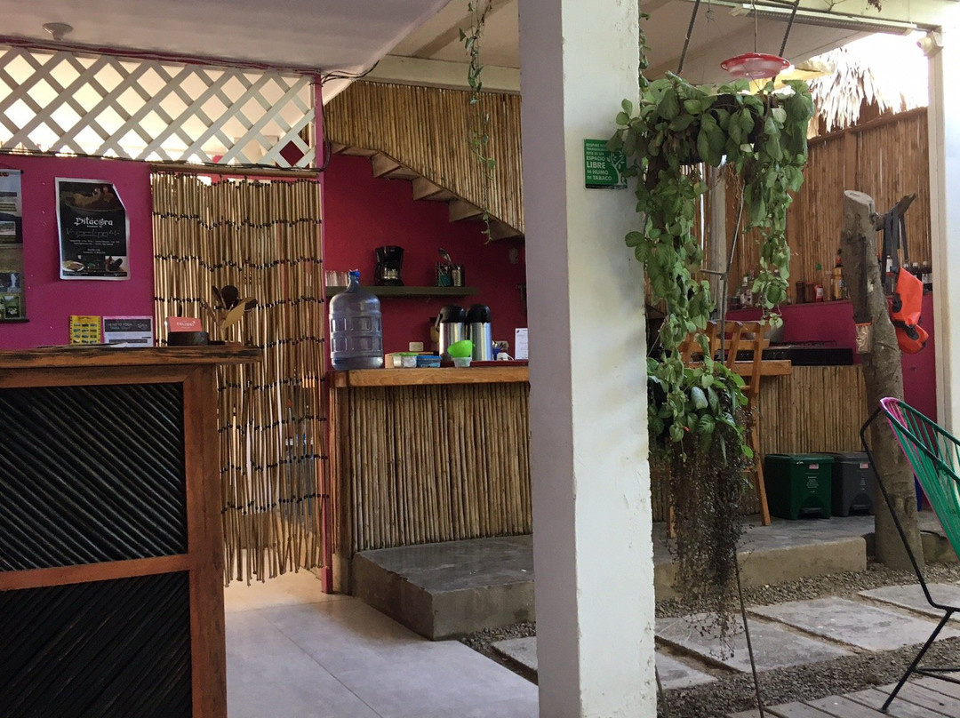 Casa Colibri Palomino主图