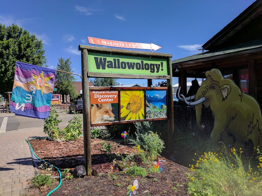 Wallowology Natural History Discovery Center景点图片