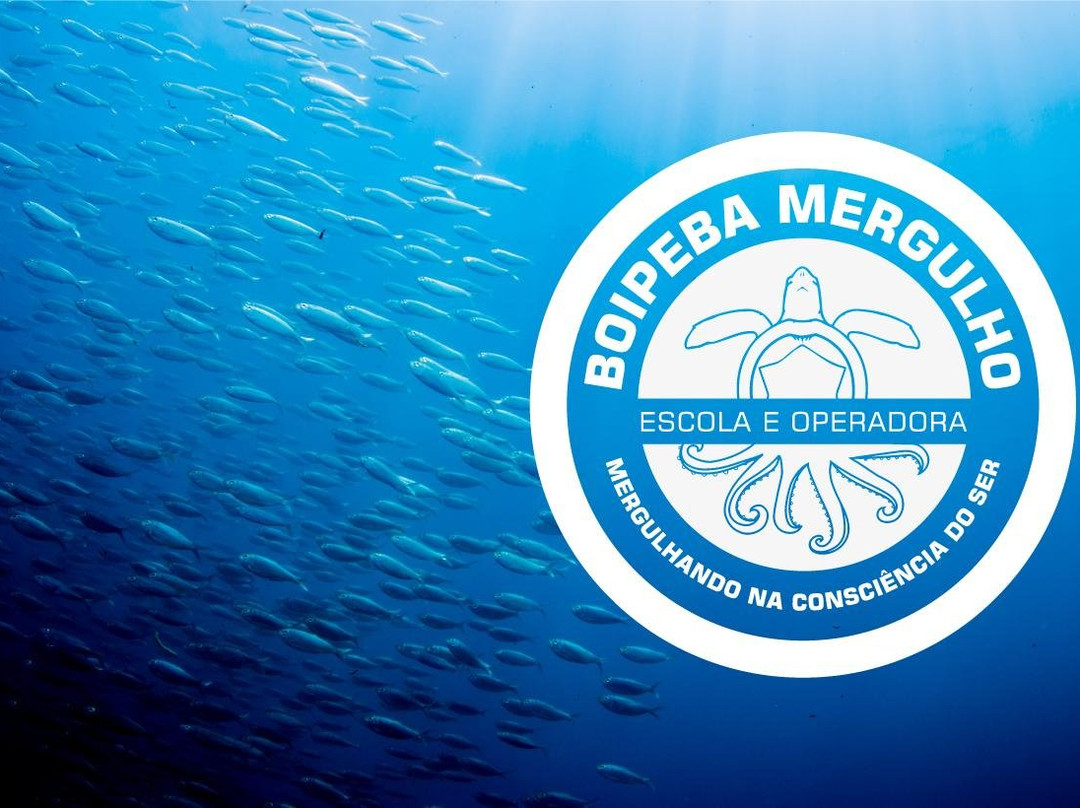 Boipeba Mergulho - Scuba Diving Center景点图片