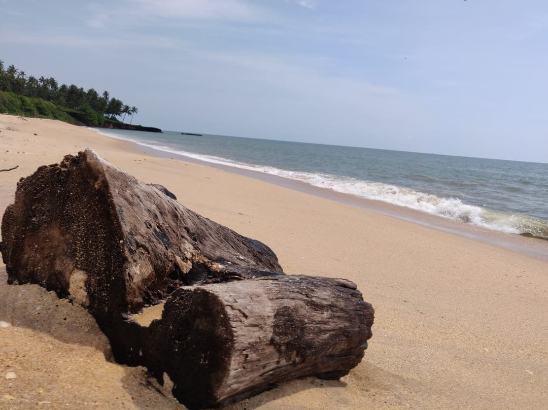 The Malabar Beach Resort and Ayurvedic Spa主图