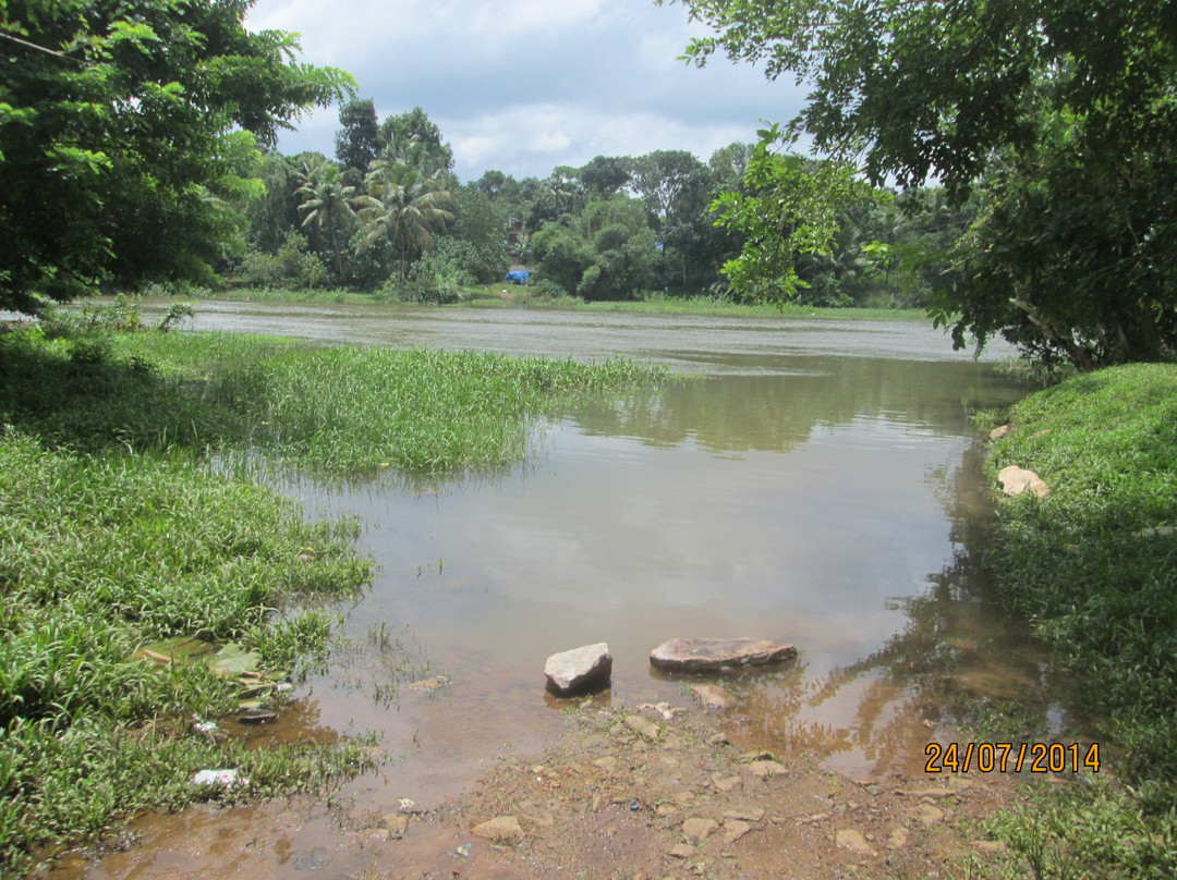 Achankovil River-Pathanamthitta必去景点