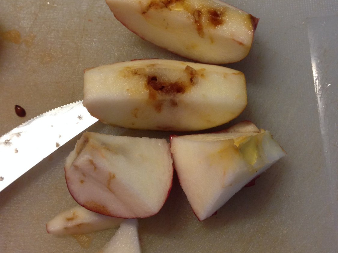 Echo Hill Orchards and Winery