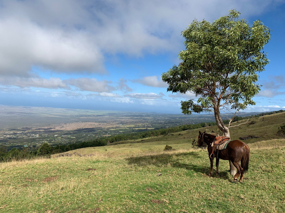 Thompson Ranch Riding Stables-库拉必去景点